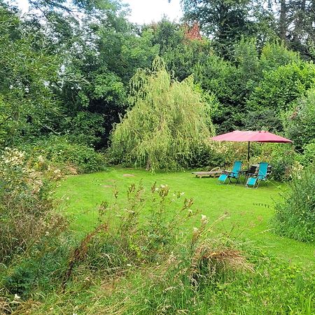 Kingsley Cottage - Beautiful Riverside Setting Beaworthy 외부 사진