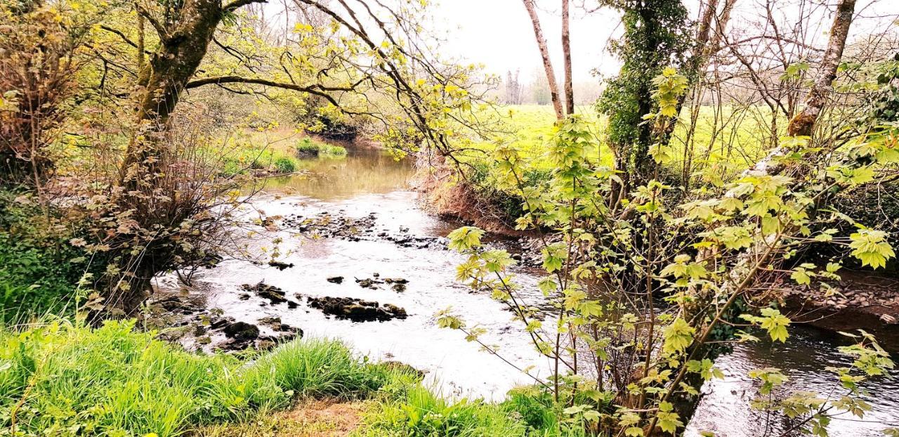 Kingsley Cottage - Beautiful Riverside Setting Beaworthy 외부 사진