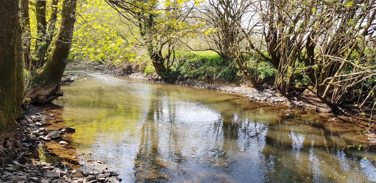 Kingsley Cottage - Beautiful Riverside Setting Beaworthy 외부 사진