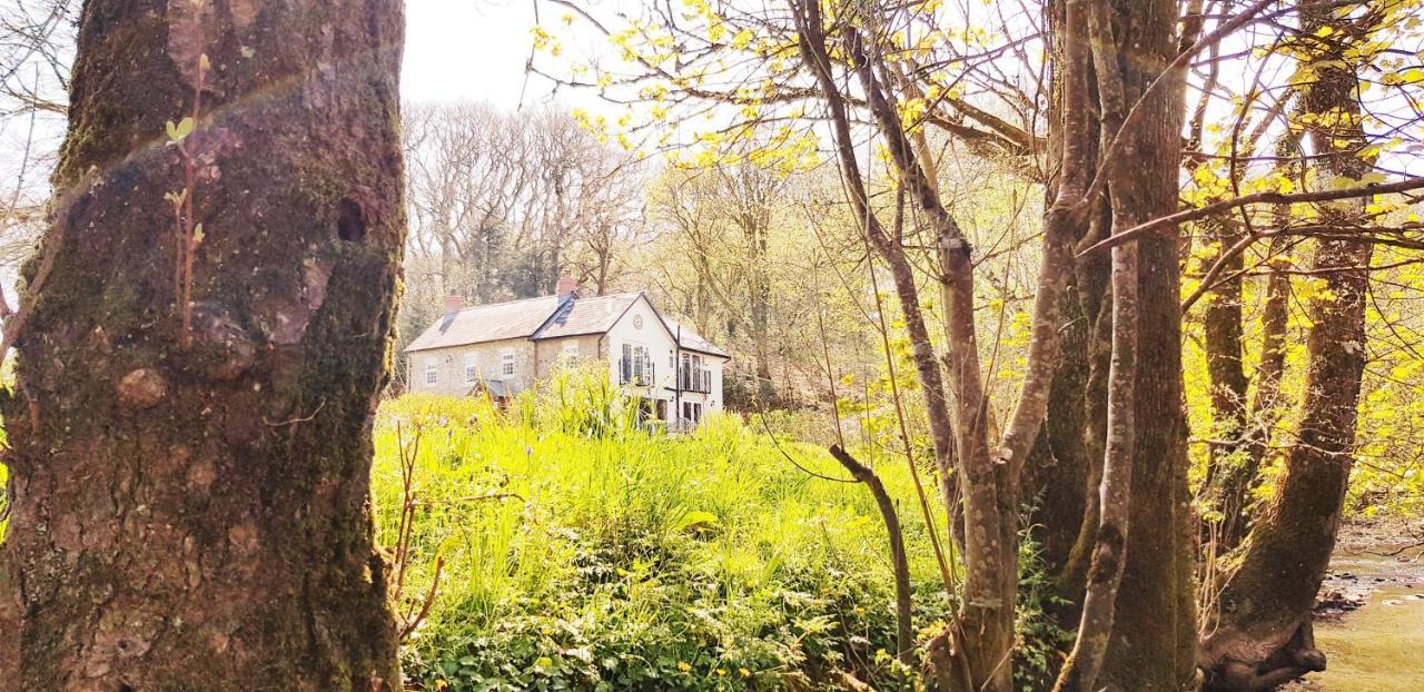 Kingsley Cottage - Beautiful Riverside Setting Beaworthy 외부 사진