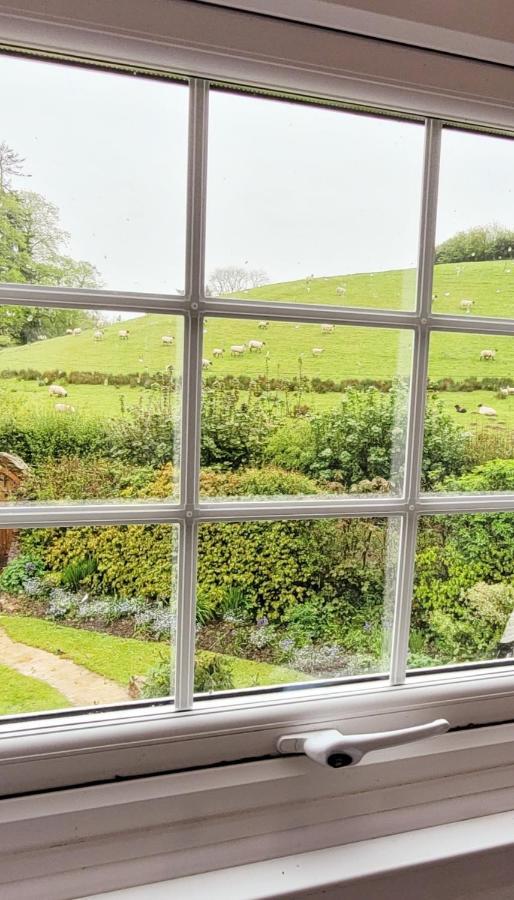 Kingsley Cottage - Beautiful Riverside Setting Beaworthy 외부 사진