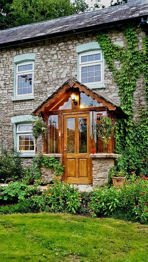 Kingsley Cottage - Beautiful Riverside Setting Beaworthy 외부 사진
