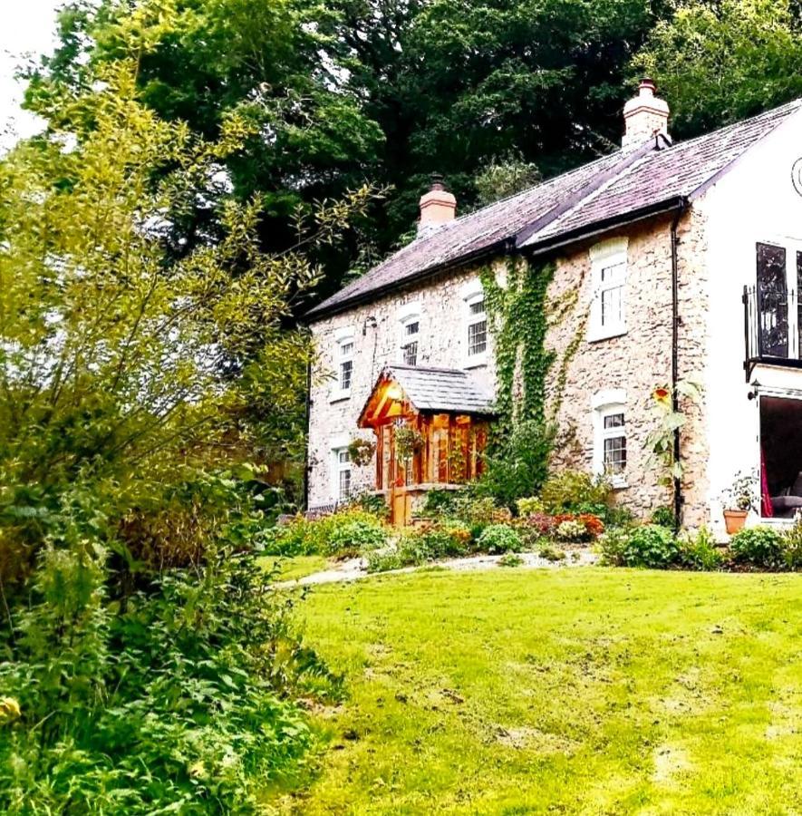 Kingsley Cottage - Beautiful Riverside Setting Beaworthy 외부 사진