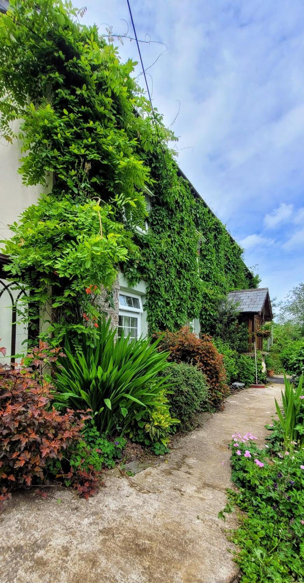 Kingsley Cottage - Beautiful Riverside Setting Beaworthy 외부 사진