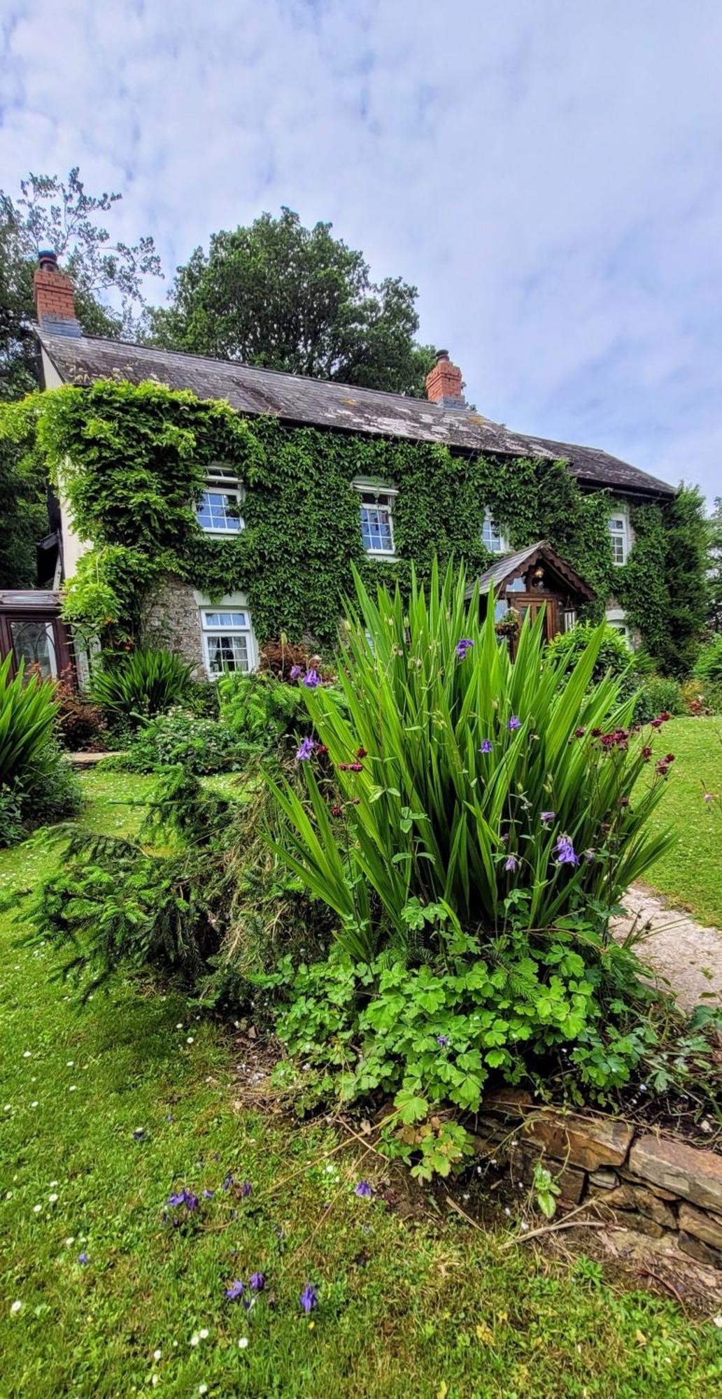 Kingsley Cottage - Beautiful Riverside Setting Beaworthy 외부 사진