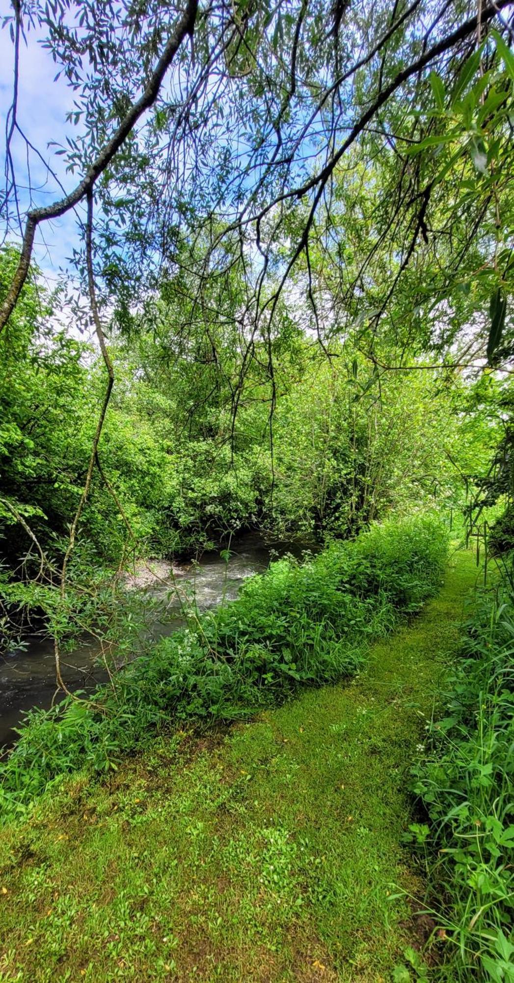 Kingsley Cottage - Beautiful Riverside Setting Beaworthy 외부 사진