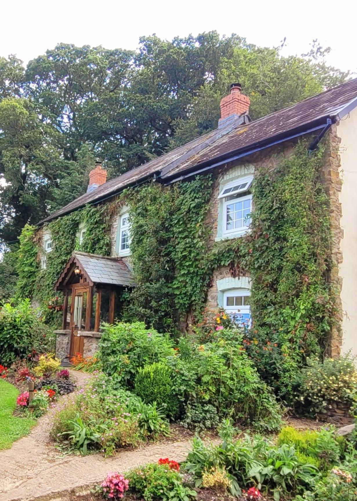 Kingsley Cottage - Beautiful Riverside Setting Beaworthy 외부 사진